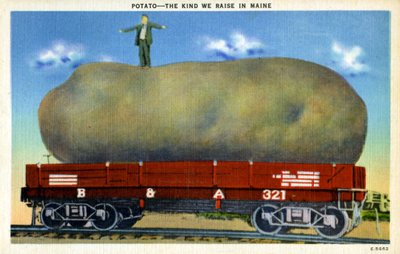 Vintage exaggeration postcard c.1940 by Unknown
